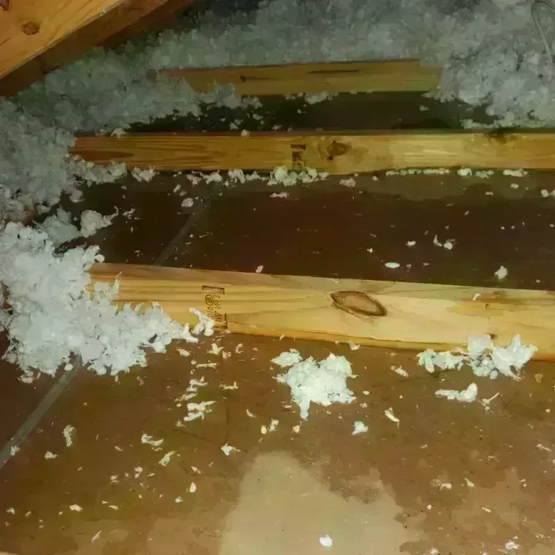 Attic Water Damage in Fairfax, MN